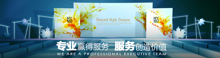 2XZ型旋片式真空泵進出口口徑轉換裝置圖