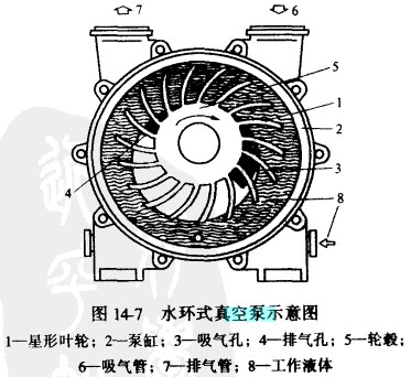 水環式真空泵示意圖